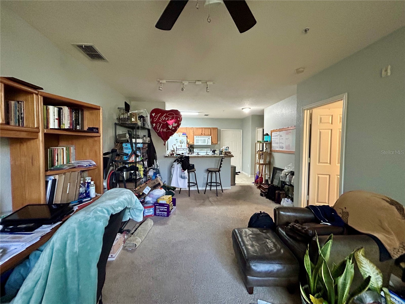 5550 E Michigan Street #2208 Orlando FL 32822 O6417902 image7