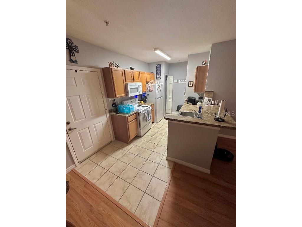 5550 E Michigan Street #3203 Orlando FL 32822 O6362375 image8