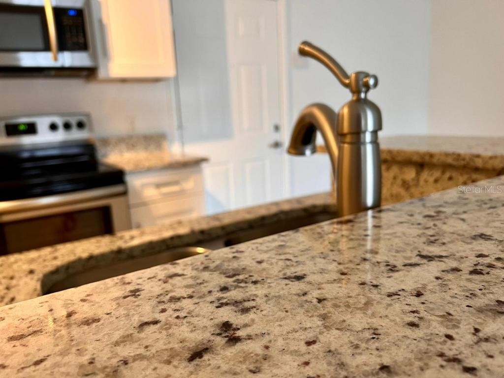 5550 E Michigan Street #3235 Orlando FL 32822 S5139856 image9