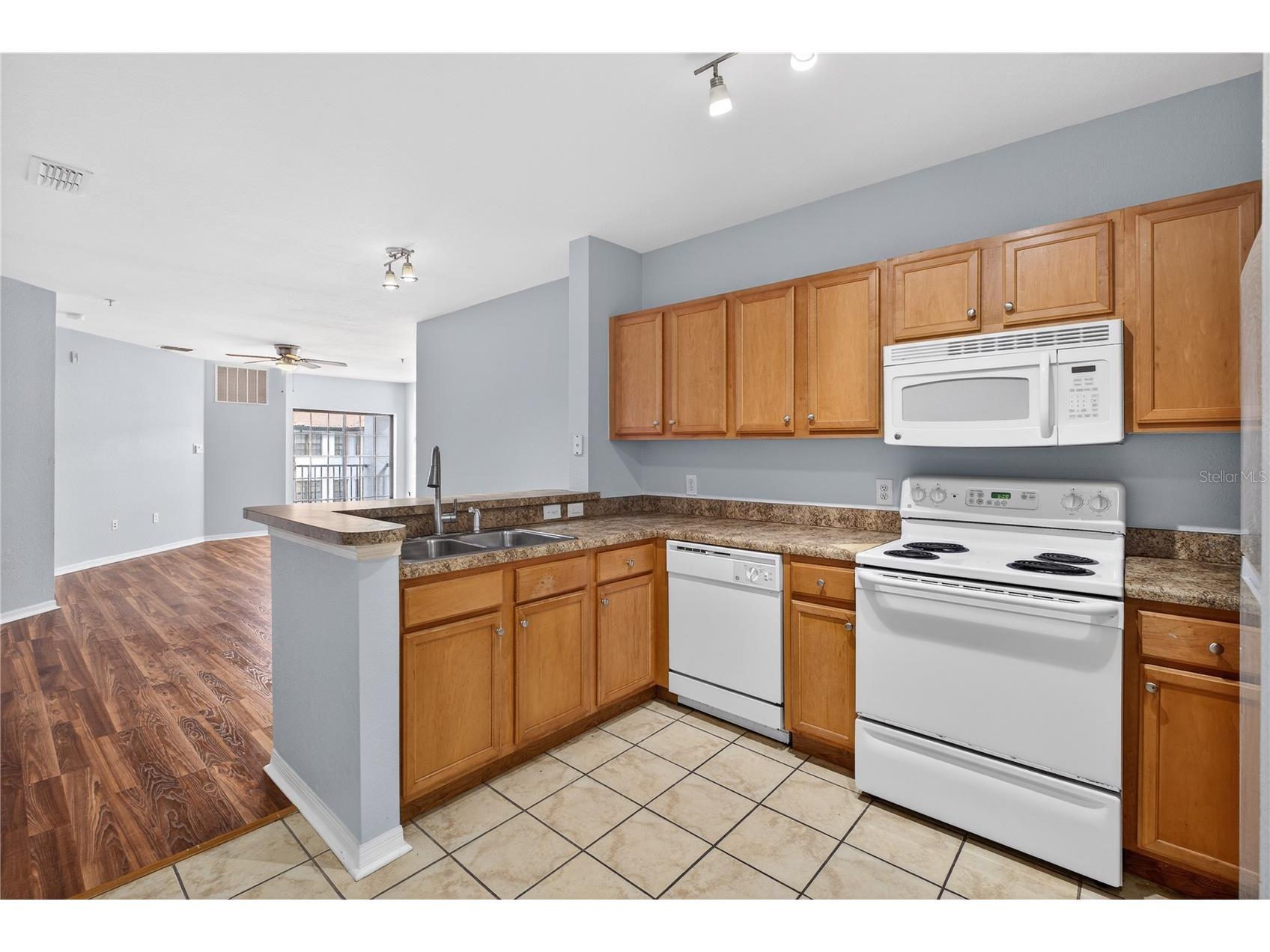 5550 E Michigan Street #3306 Orlando FL 32822 O6383321 image11