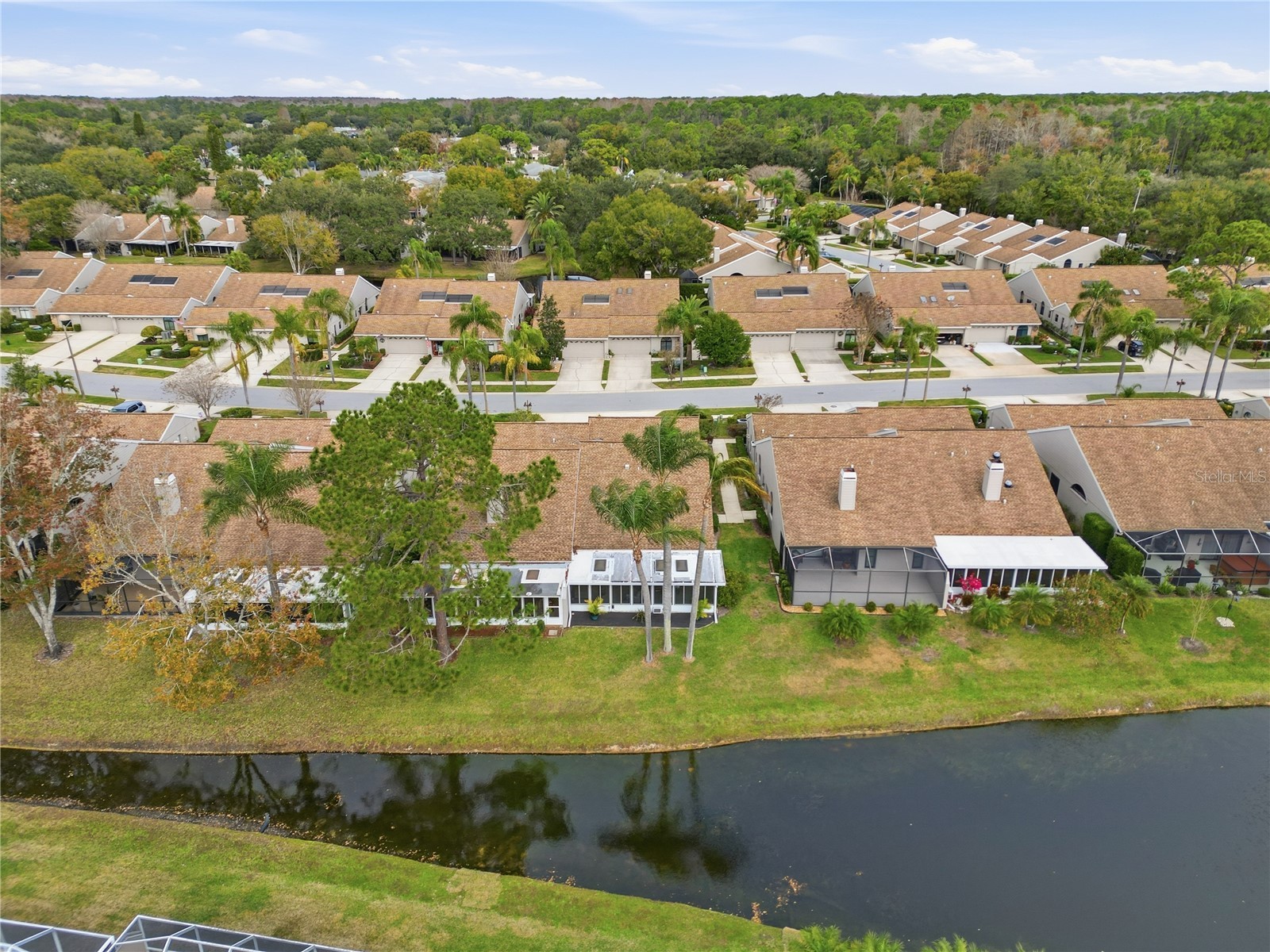 5550 Salem Square Drive S Palm Harbor FL 34685 TB8460782 image28