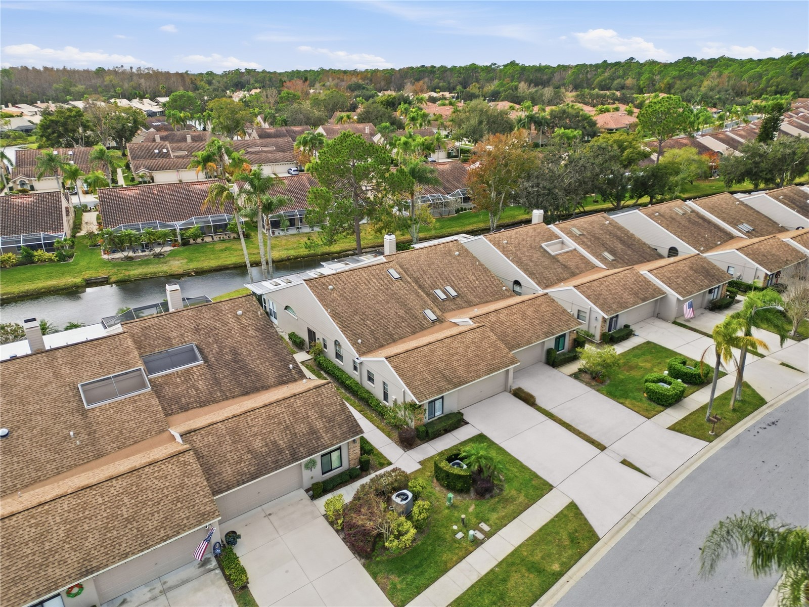 5550 Salem Square Drive S Palm Harbor FL 34685 TB8460782 image3