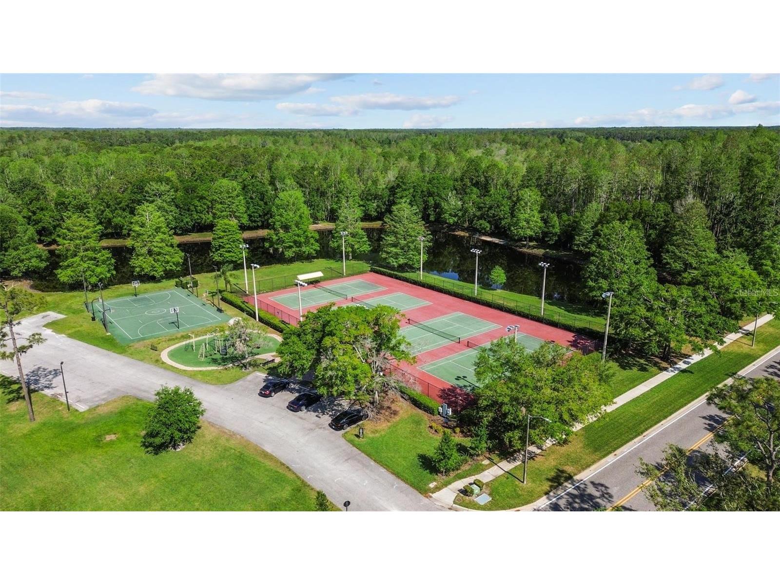 5550 Salem Square Drive S Palm Harbor FL 34685 TB8460782 image33