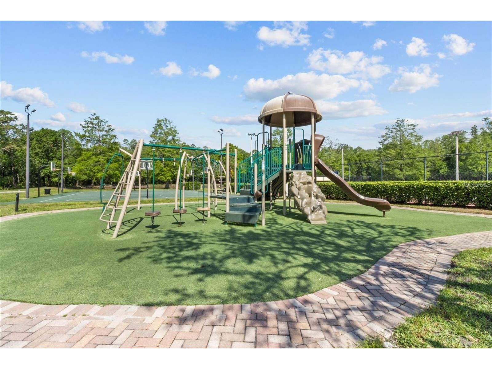 5550 Salem Square Drive S Palm Harbor FL 34685 TB8460782 image34