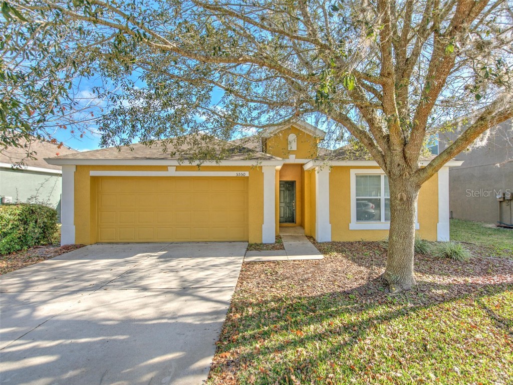 5550 Shasta Daisy Place Land O Lakes FL 34639 T3500299 image1