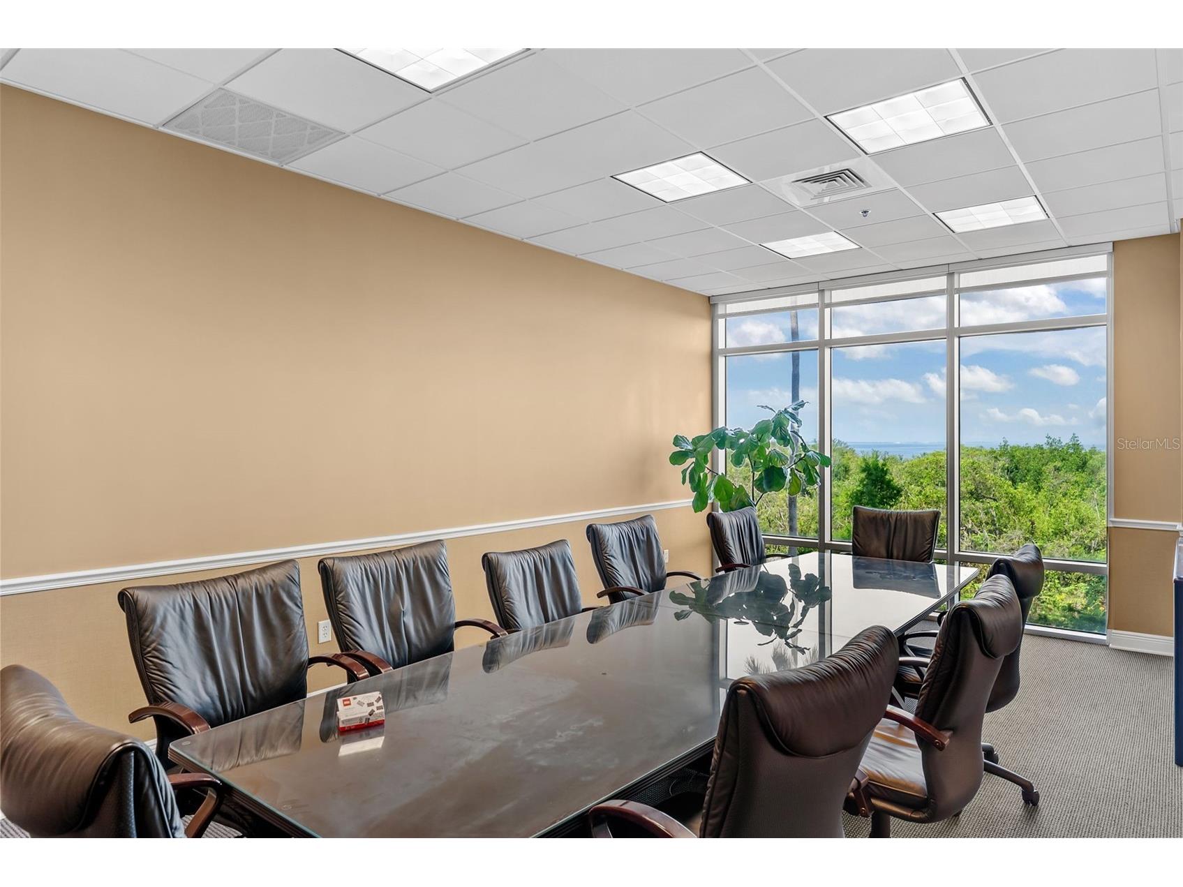 5550 W Executive Drive #250 Tampa FL 33609 - TAMPA BAY TB8508731 image5