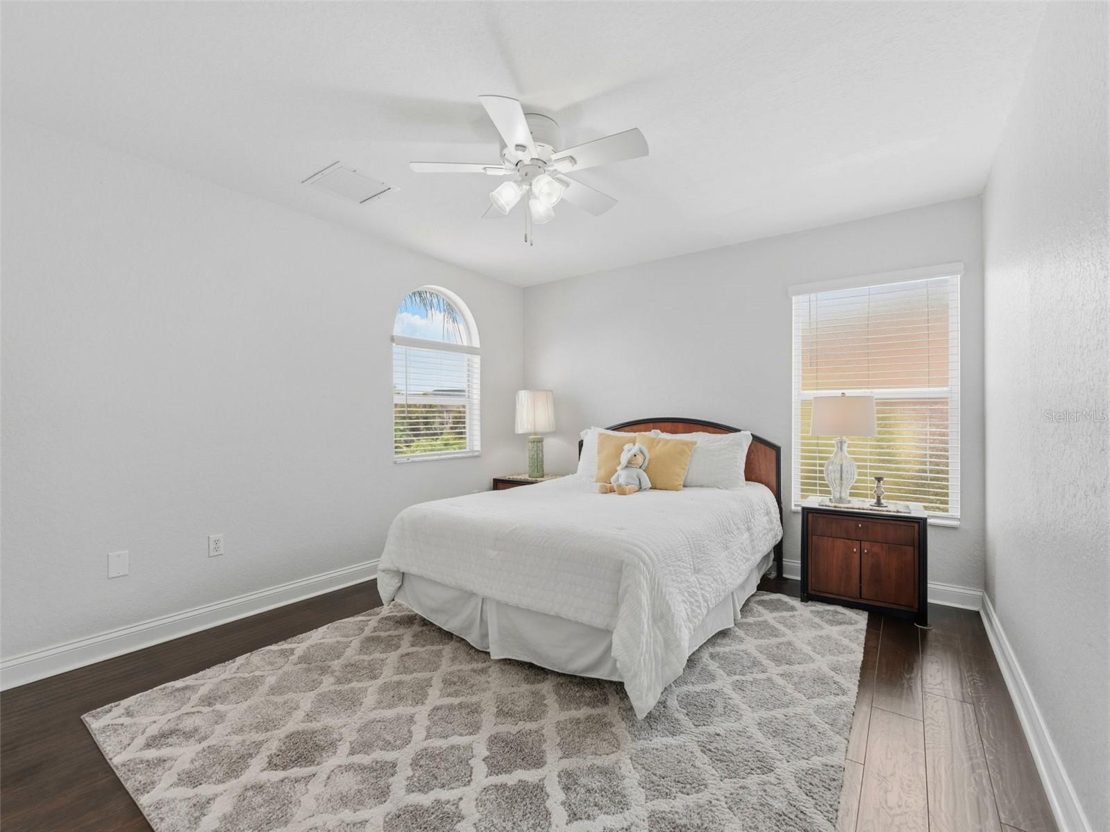 5551 Jobeth Dr New Port Richey FL 34652 TB8487874 image38