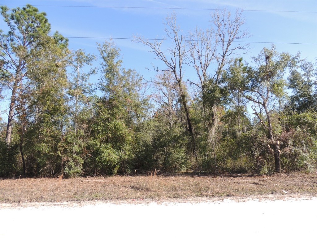 5551 NE 107th Court Bronson FL 32621 OM669699 image1