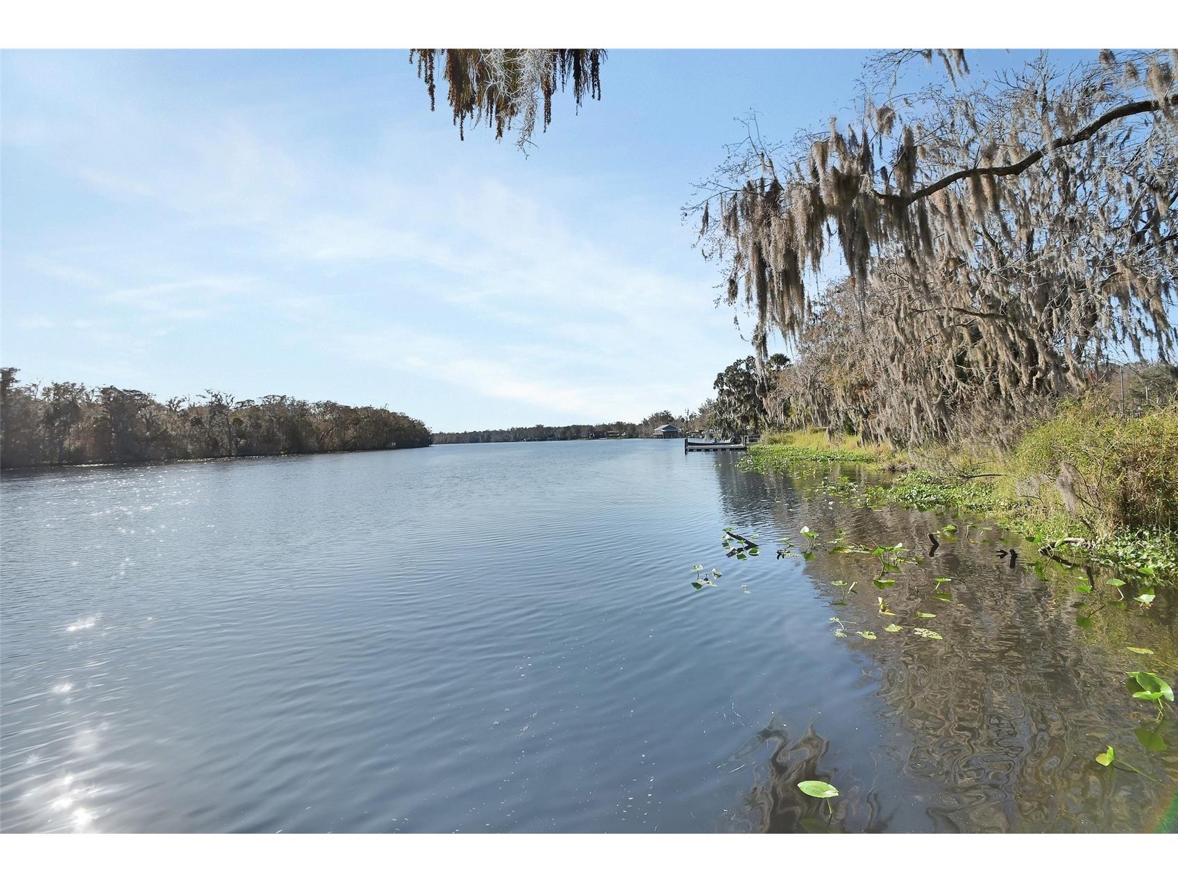 55512 Front Street Astor FL 32102 - ST JOHNS RIVER V4946788 image4