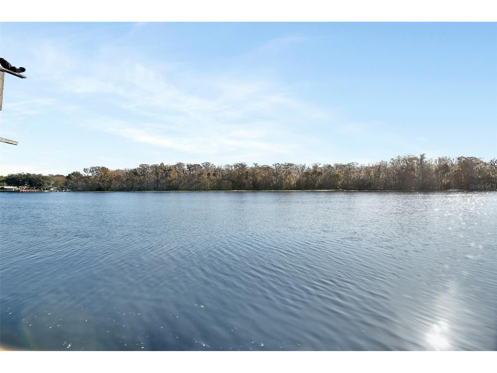 55512 Front Street Astor FL 32102 - ST JOHNS RIVER V4946788 image5