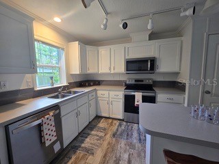 55515 Lisa Street Astor FL 32102 R4911522 image9