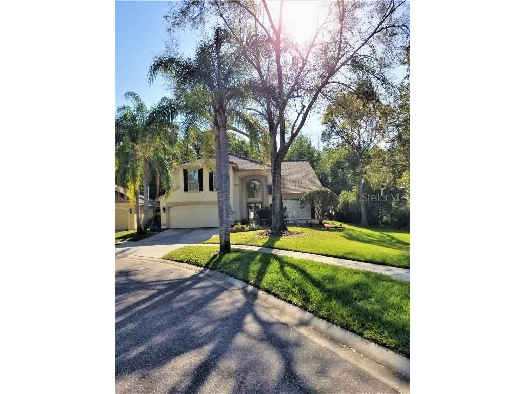 5552 Avenue Du Soleil Lutz FL 33558 T3361628 image1