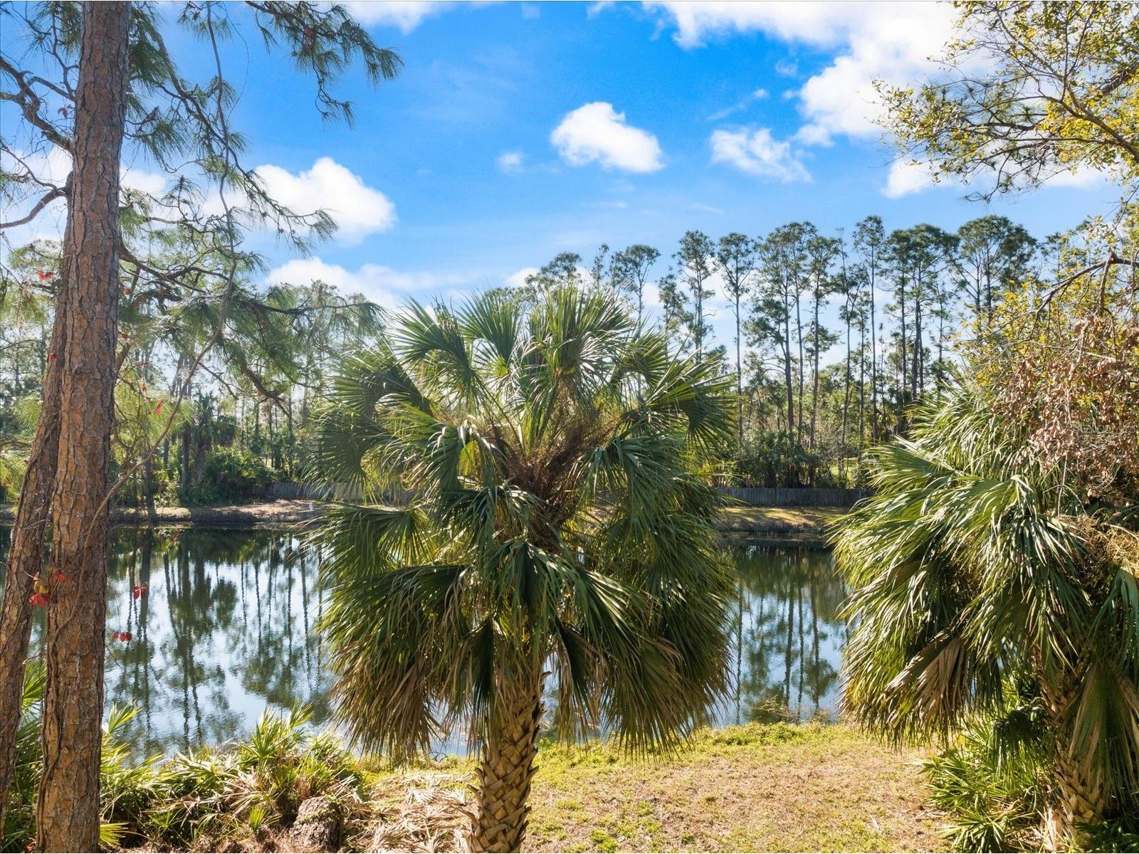 5552 Bentgrass Drive #7-116 Sarasota FL 34235 A4695756 image17