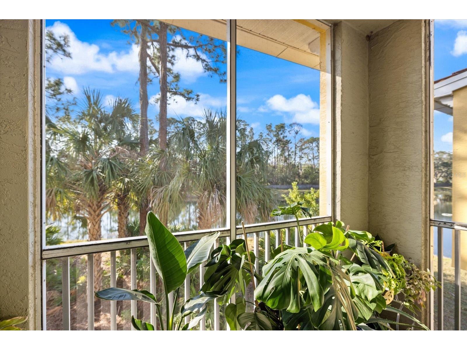 5552 Bentgrass Drive #7-116 Sarasota FL 34235 A4695756 image20