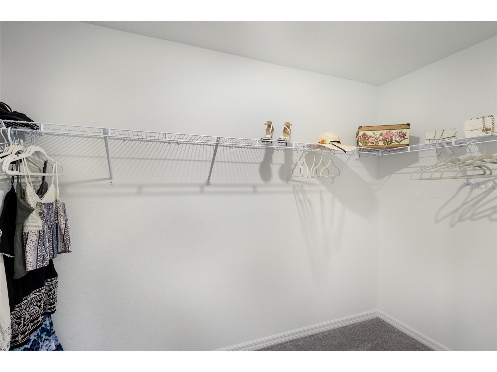5552 Blue Azure Drive Wimauma FL 33598 A4683174 image20