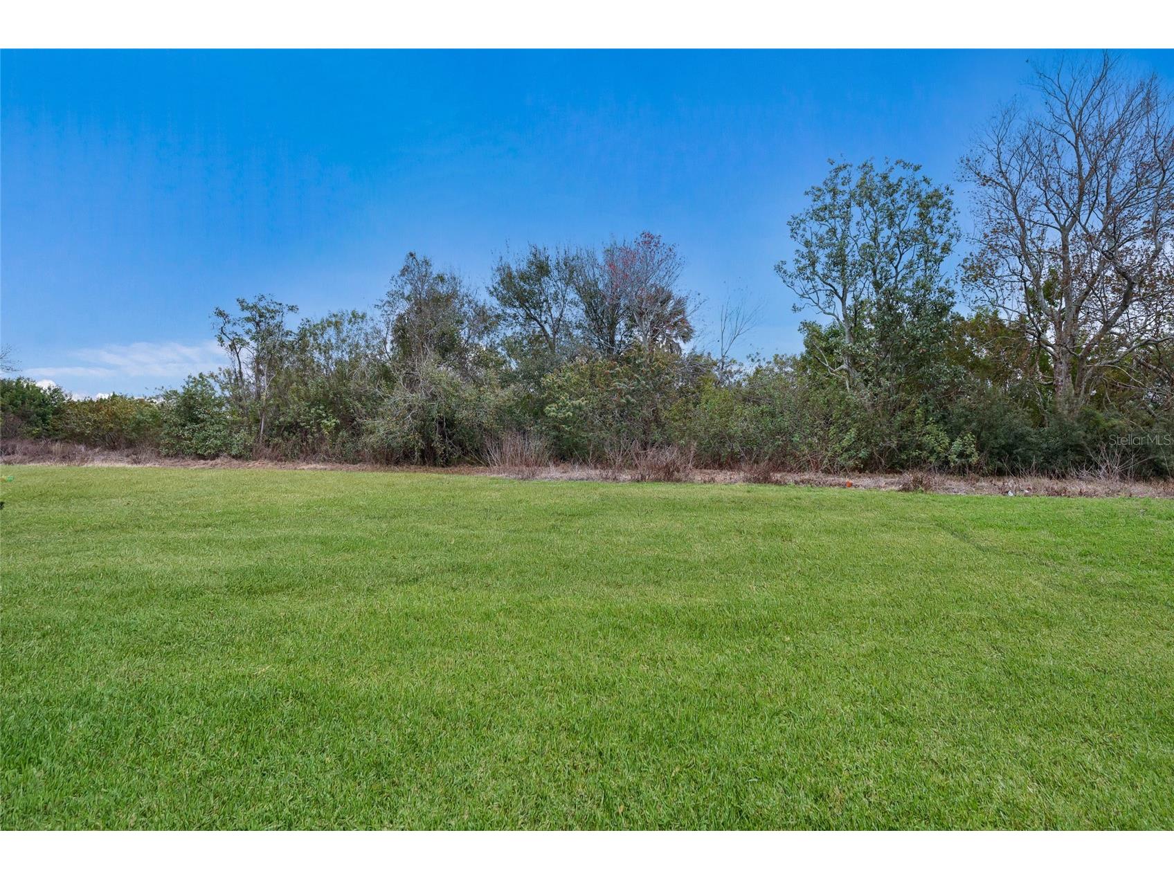 5552 Blue Azure Drive Wimauma FL 33598 A4683174 image28