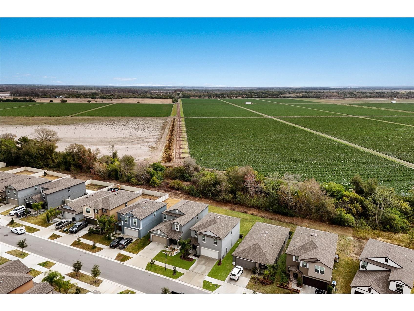 5552 Blue Azure Drive Wimauma FL 33598 A4683174 image33