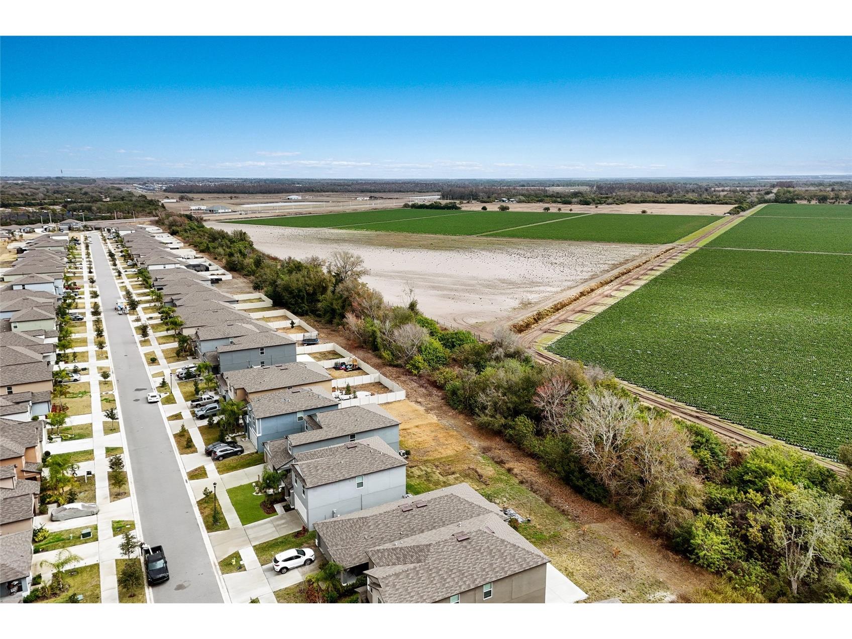 5552 Blue Azure Drive Wimauma FL 33598 A4683174 image34