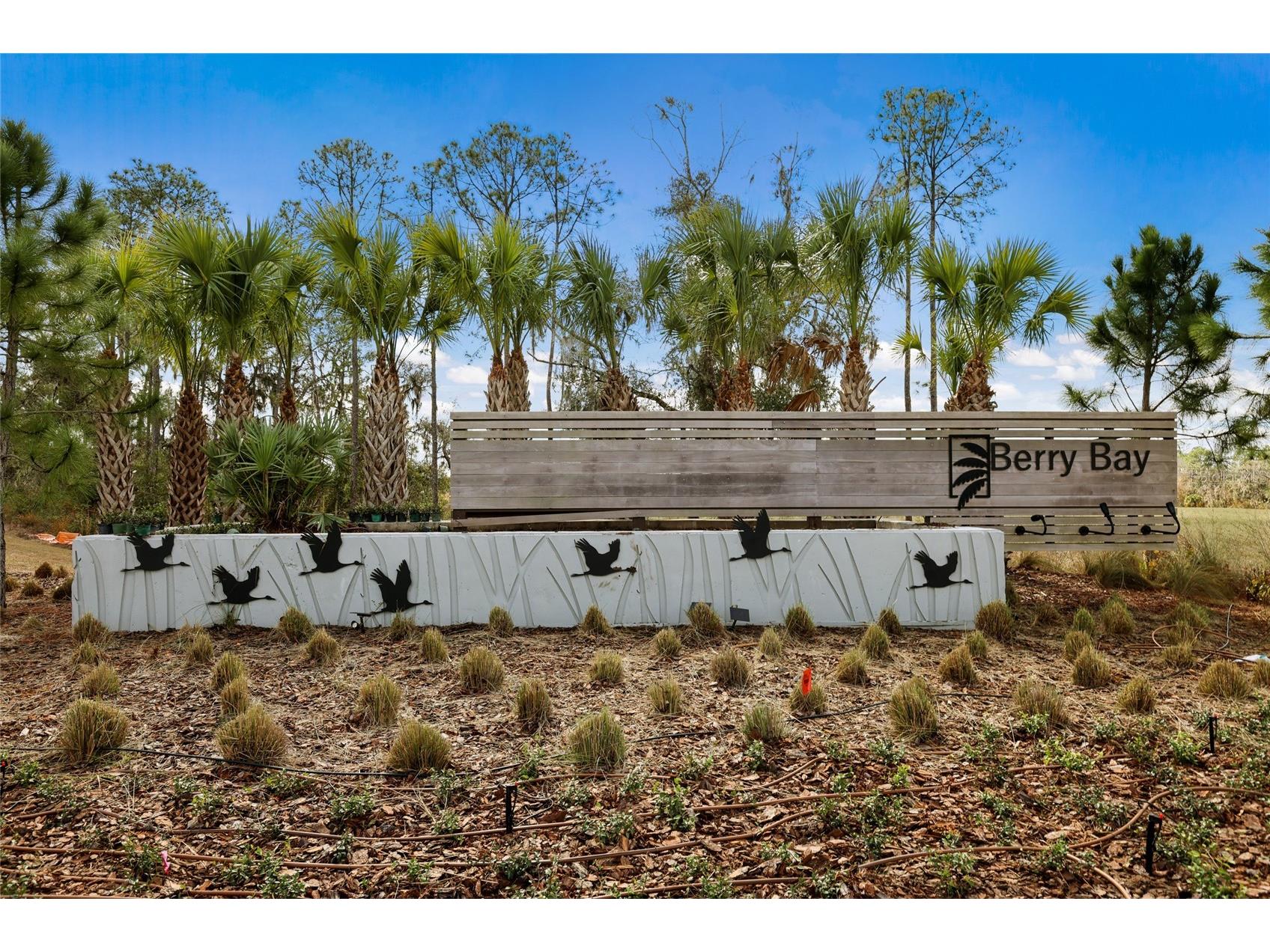 5552 Blue Azure Drive Wimauma FL 33598 A4683174 image45