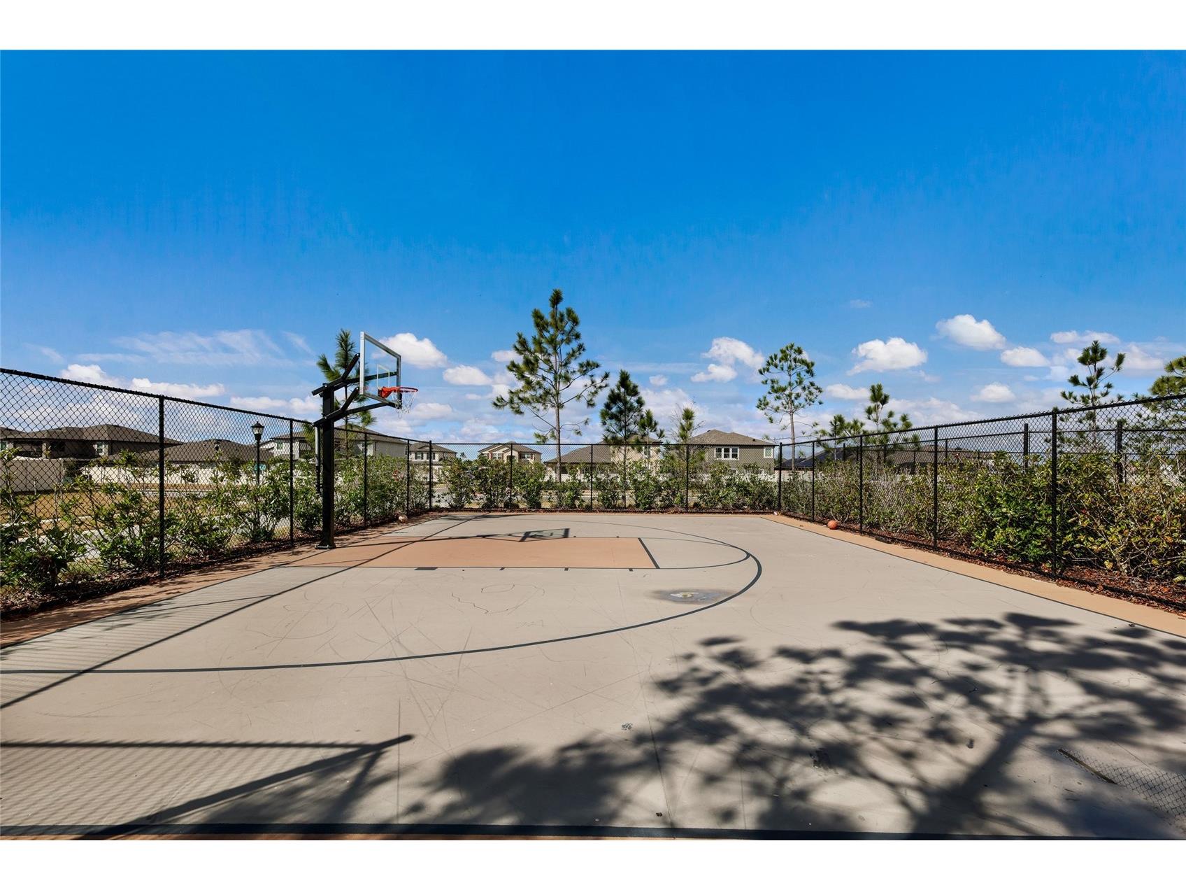5552 Blue Azure Drive Wimauma FL 33598 A4683174 image61