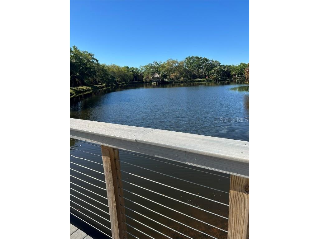 5553 Baywater Drive Tampa FL 33615 TB8361038 image35