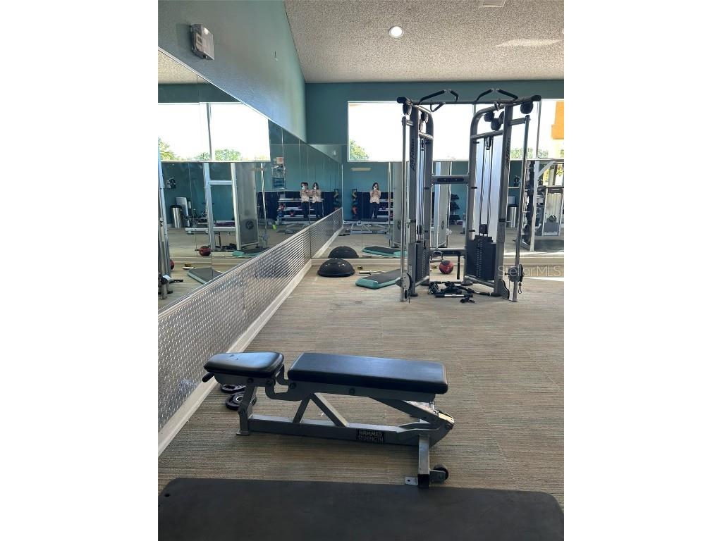 5553 Baywater Drive Tampa FL 33615 TB8361038 image37