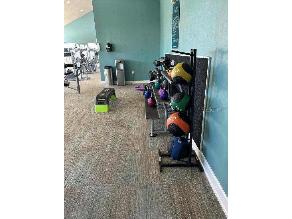 5553 Baywater Drive Tampa FL 33615 TB8361038 image38