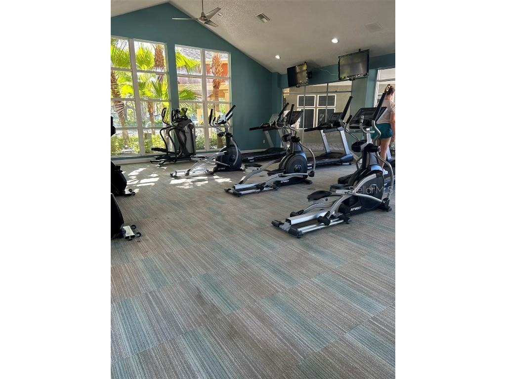 5553 Baywater Drive Tampa FL 33615 TB8361038 image40