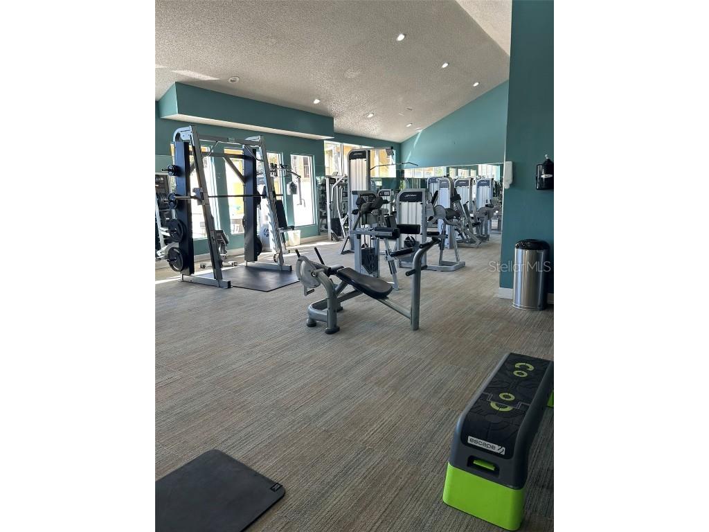 5553 Baywater Drive Tampa FL 33615 TB8361038 image41