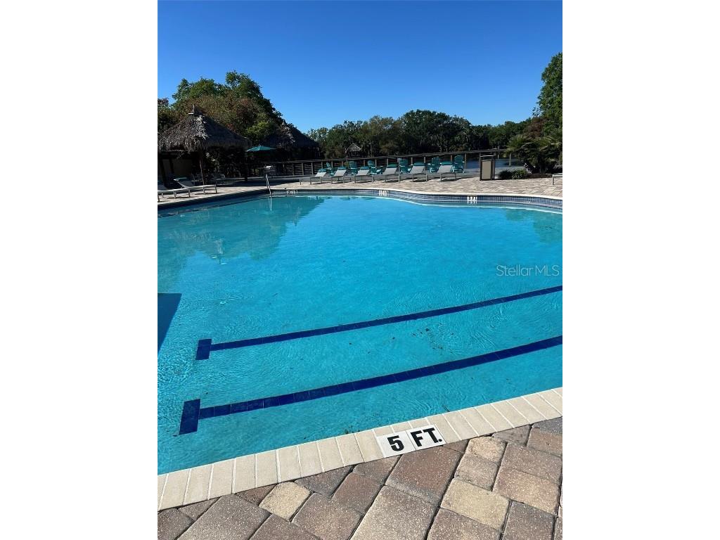 5553 Baywater Drive Tampa FL 33615 TB8361038 image6