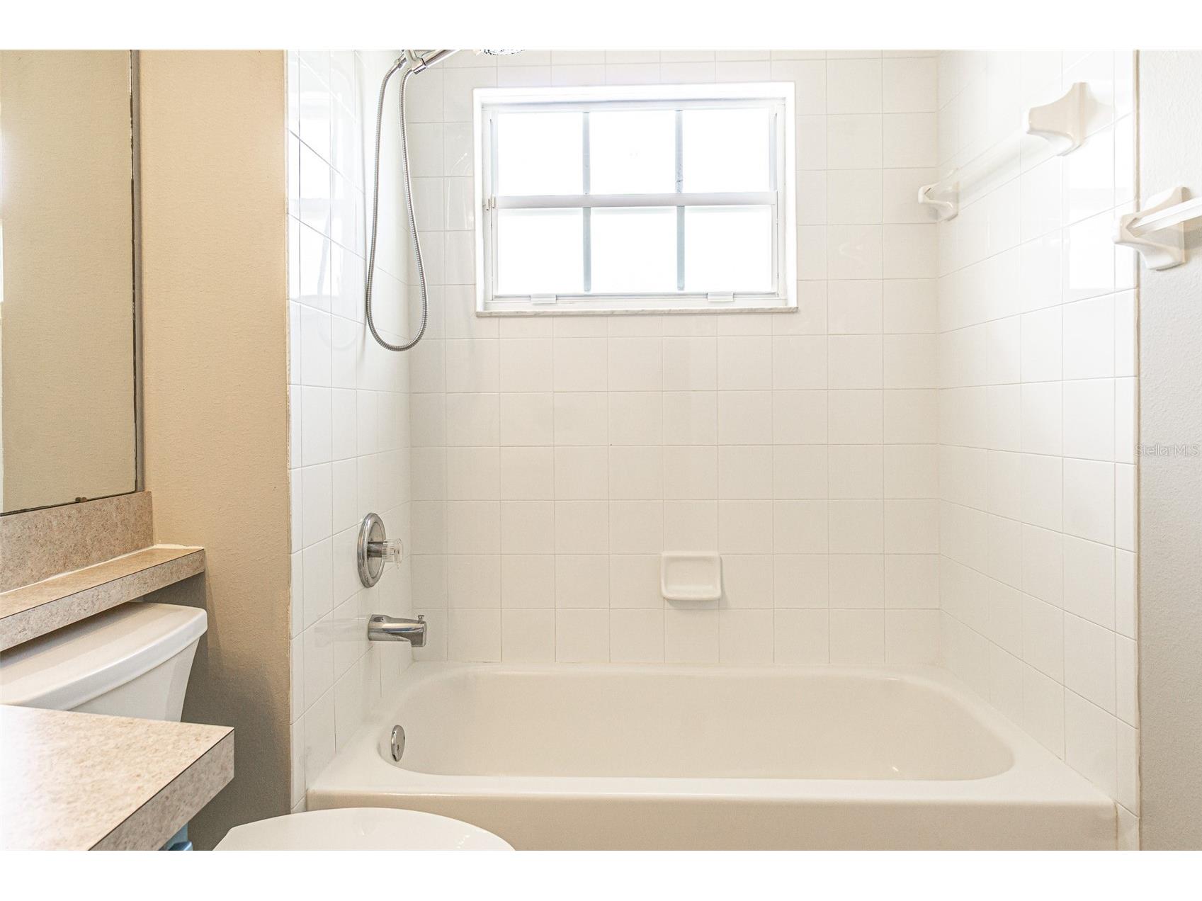 5553 Gallant Fox Court Wesley Chapel FL 33544 TB8502490 image15