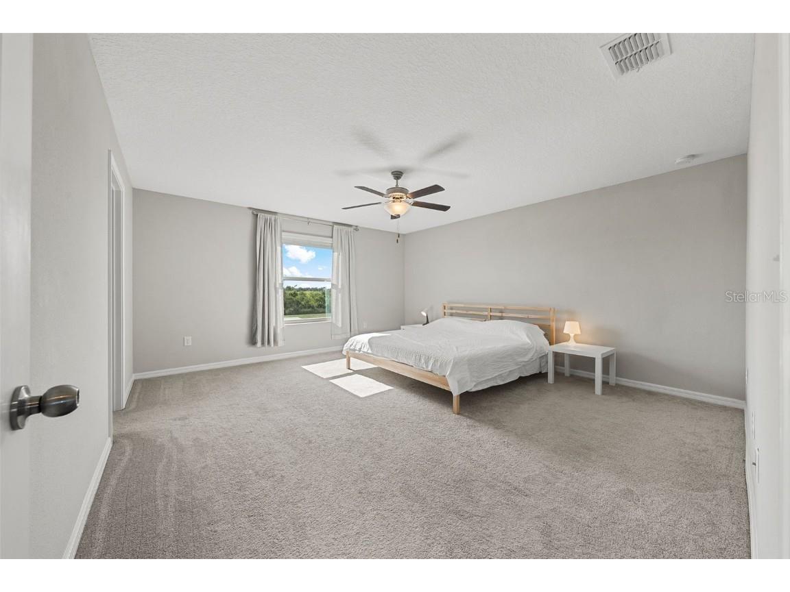 5553 Turkey Creek Way Lakeland FL 33811 - Retention pond O6298144 image18