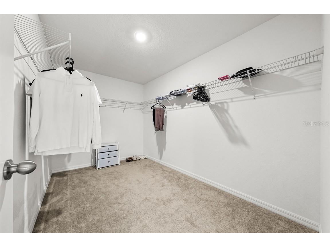 5553 Turkey Creek Way Lakeland FL 33811 - Retention pond O6298144 image25