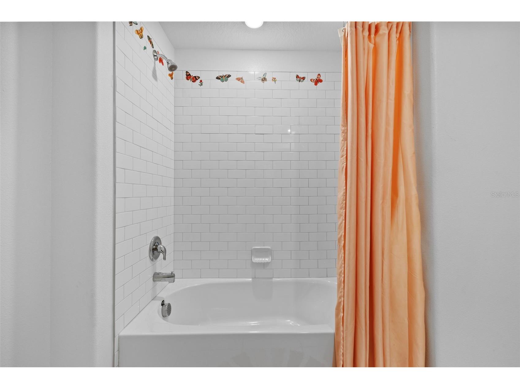 5554 Blue Azure Drive Wimauma FL 33598 A4684420 image27
