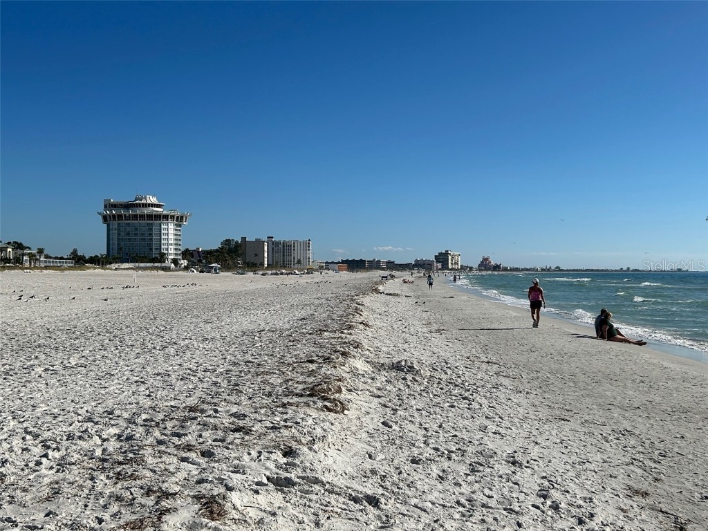 5555 Gulf Boulevard #312 Saint Pete Beach FL 33706 O6339191 image20