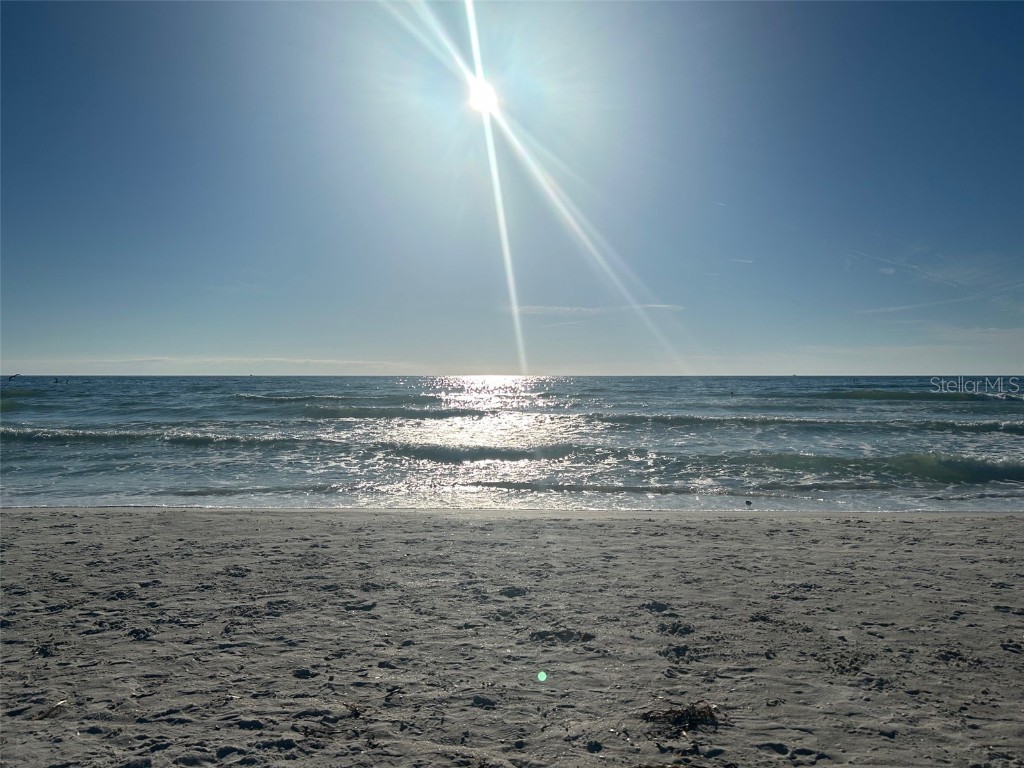 5555 Gulf Boulevard #312 Saint Pete Beach FL 33706 O6339191 image22
