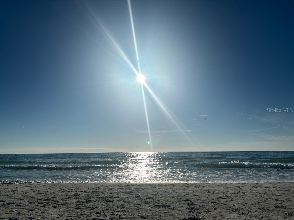 5555 Gulf Boulevard #312 Saint Pete Beach FL 33706 O6339191 image23