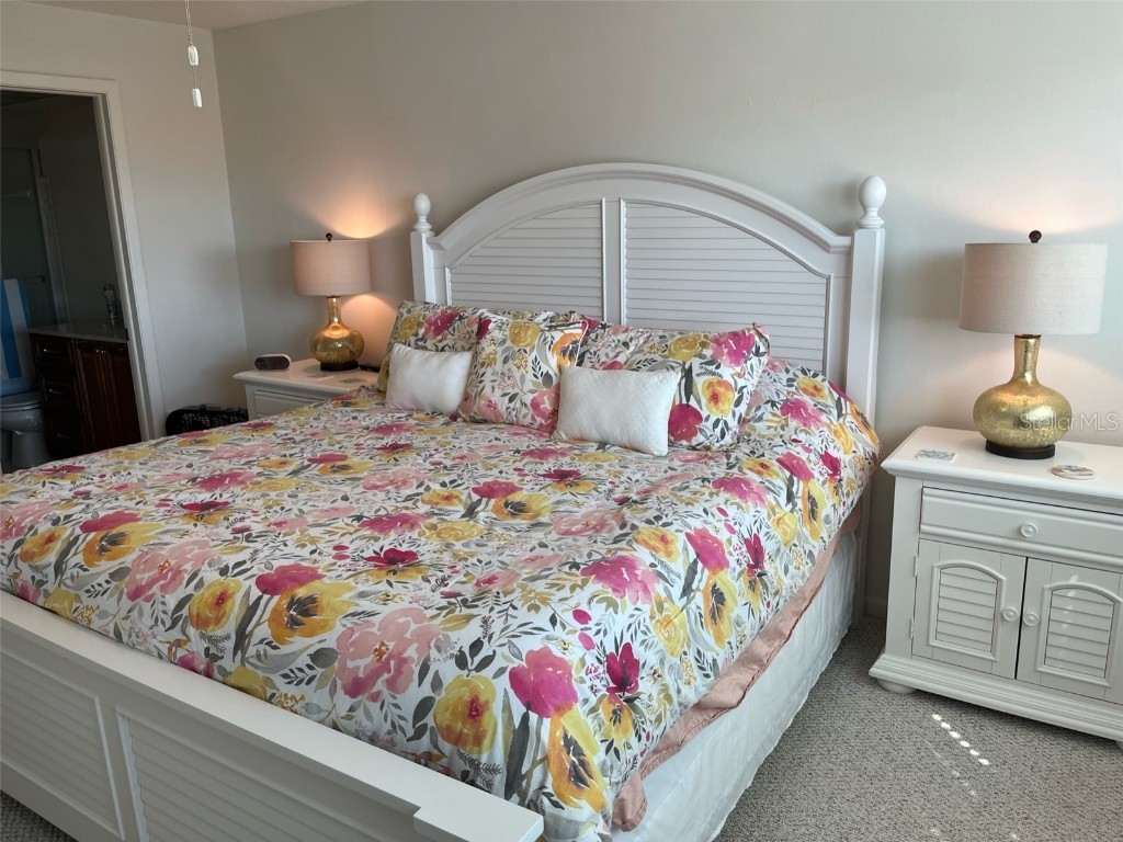 5555 Gulf Boulevard #406 Saint Pete Beach FL 33706 TB8418883 image23