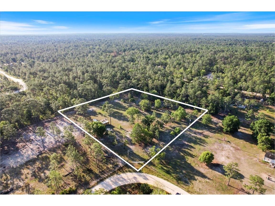 5555 N Muslin Terrace Dunnellon FL 34433 T3520471 image1