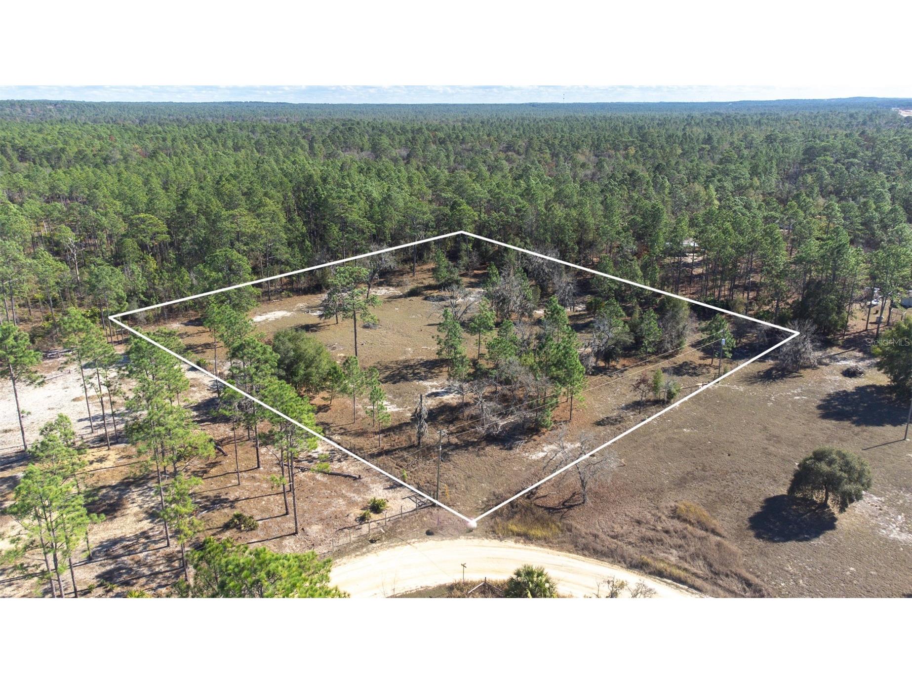 5555 N Muslin Terrace Dunnellon FL 34433 TB8463436 image1