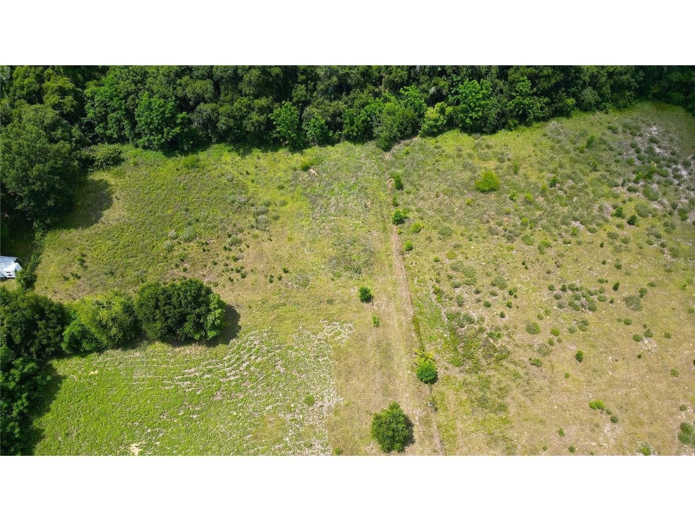 5555 SE 145th Street Summerfield FL 34491 OM680993 image1