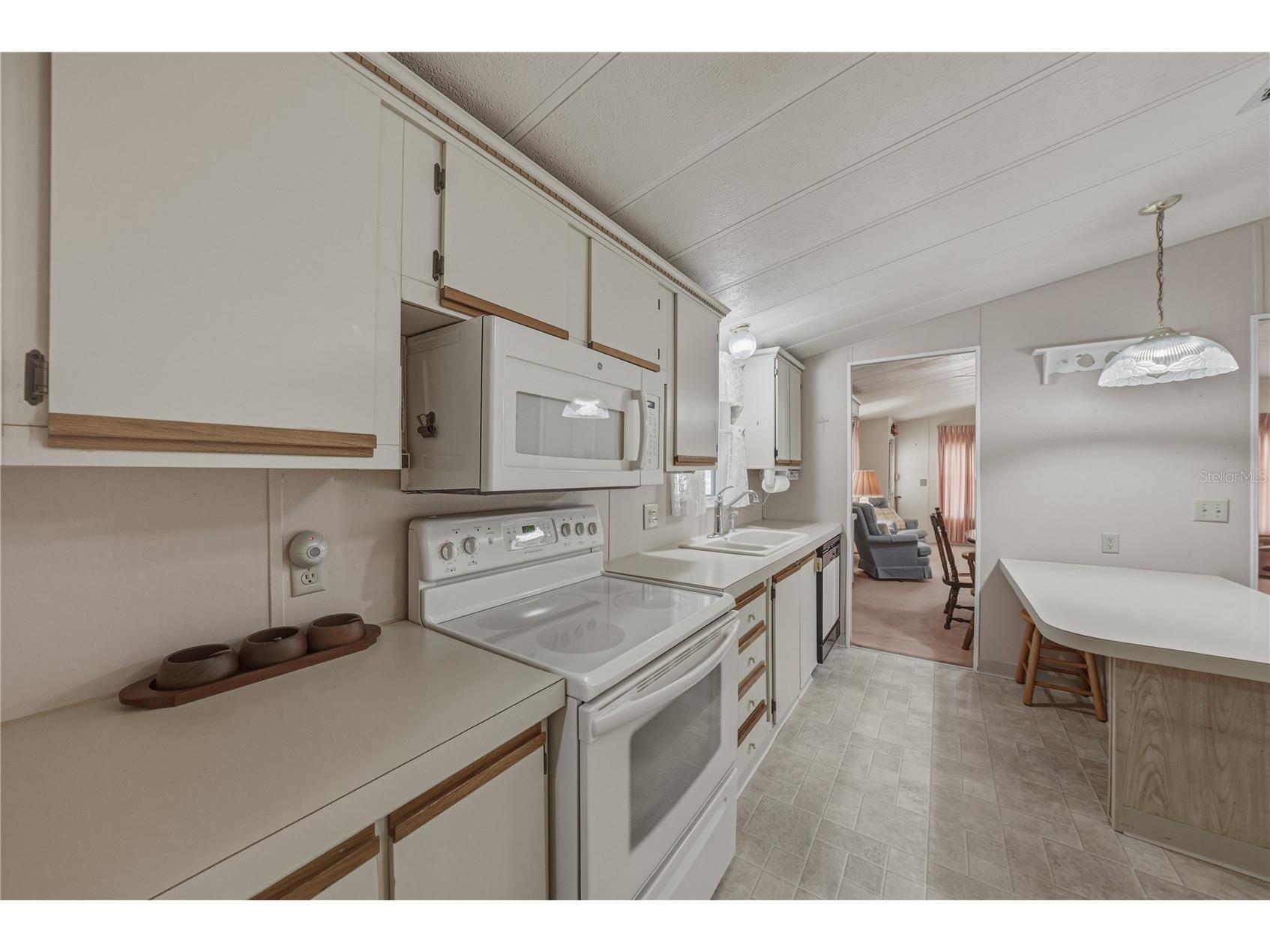 5556 Riviera Drive Zephyrhills FL 33541 TB8488969 image19