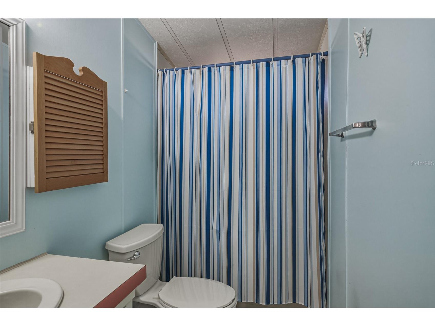 5556 Riviera Drive Zephyrhills FL 33541 TB8488969 image33