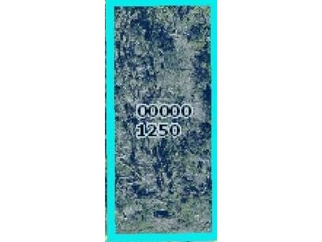 5556 Sandal Lane Bokeelia FL 33922 OK224936 image3