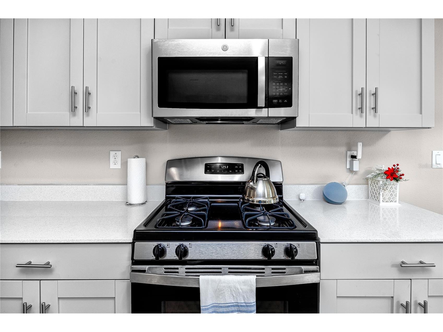 5556 Summer Sunset Drive Apollo Beach FL 33572 TB8487374 image22