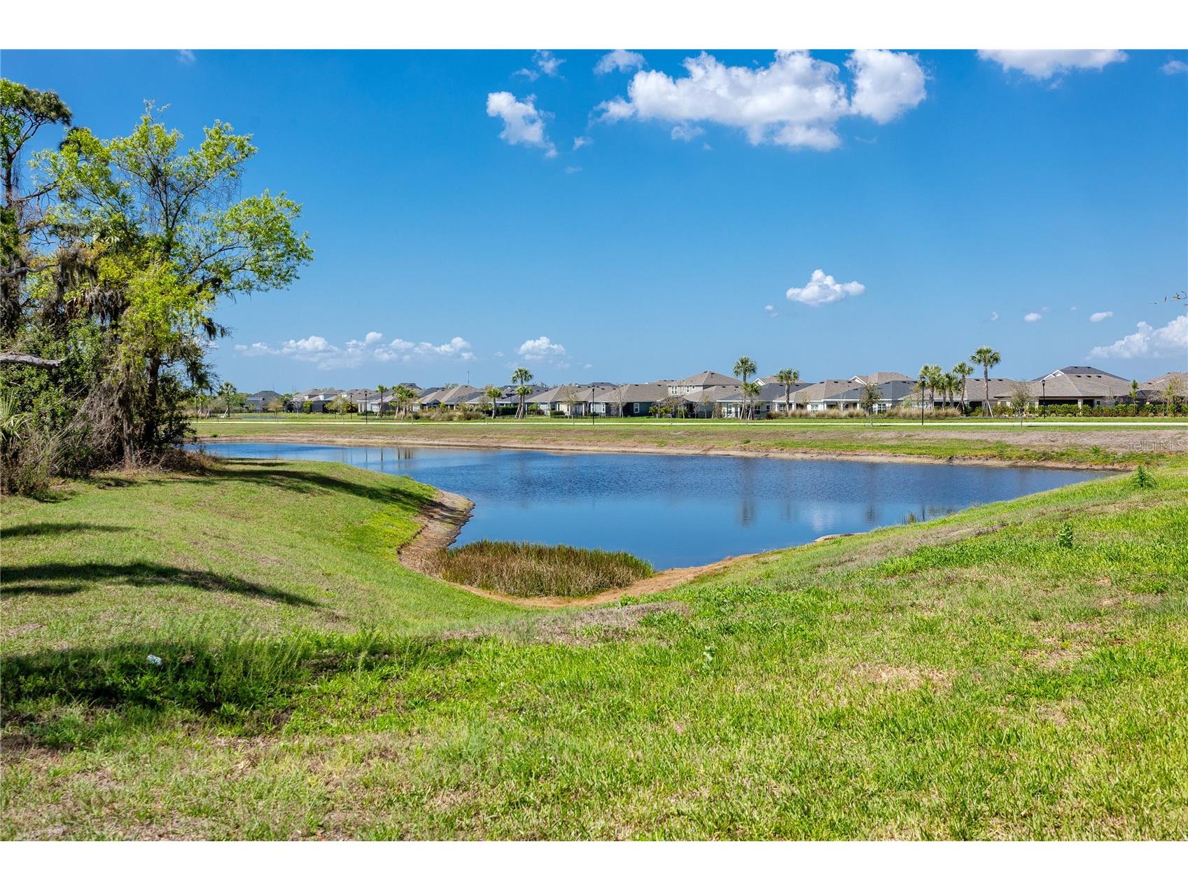 5556 Summer Sunset Drive Apollo Beach FL 33572 TB8487374 image40