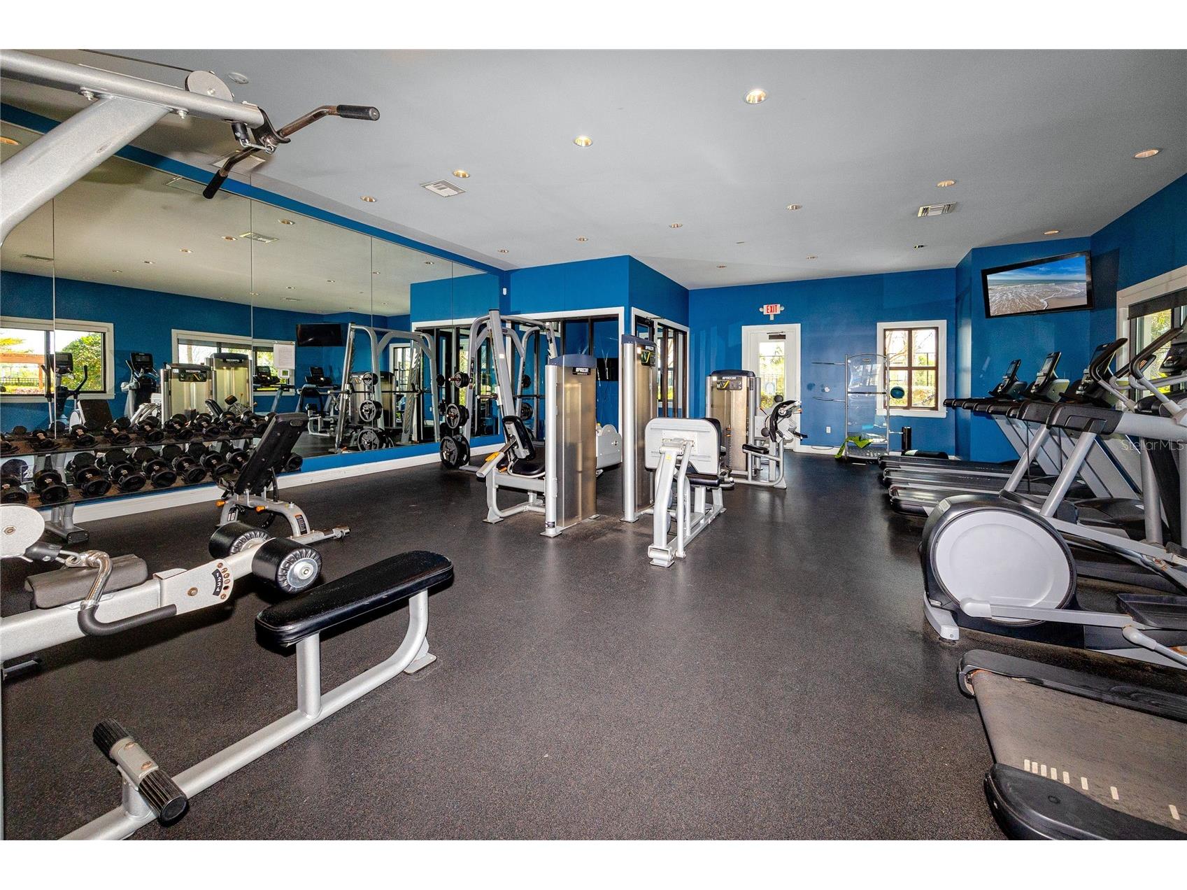 5556 Summer Sunset Drive Apollo Beach FL 33572 TB8487374 image45