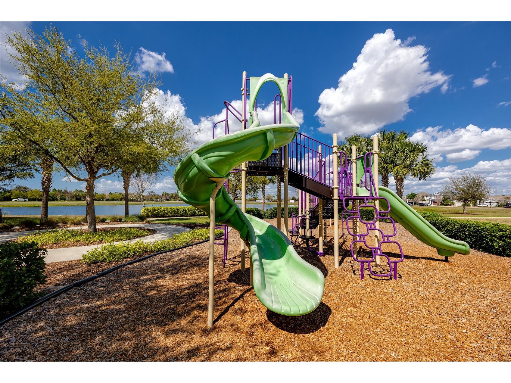 5556 Summer Sunset Drive Apollo Beach FL 33572 TB8487374 image54
