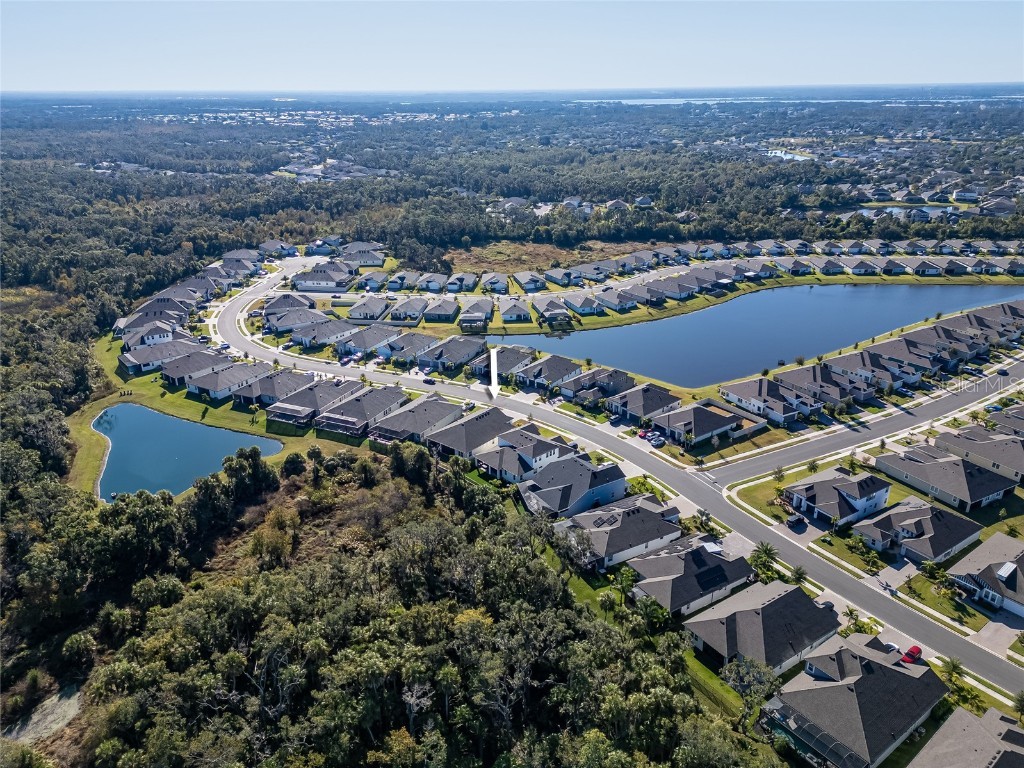 5556 Trevesta Place Palmetto FL 34221 A4672048 image10