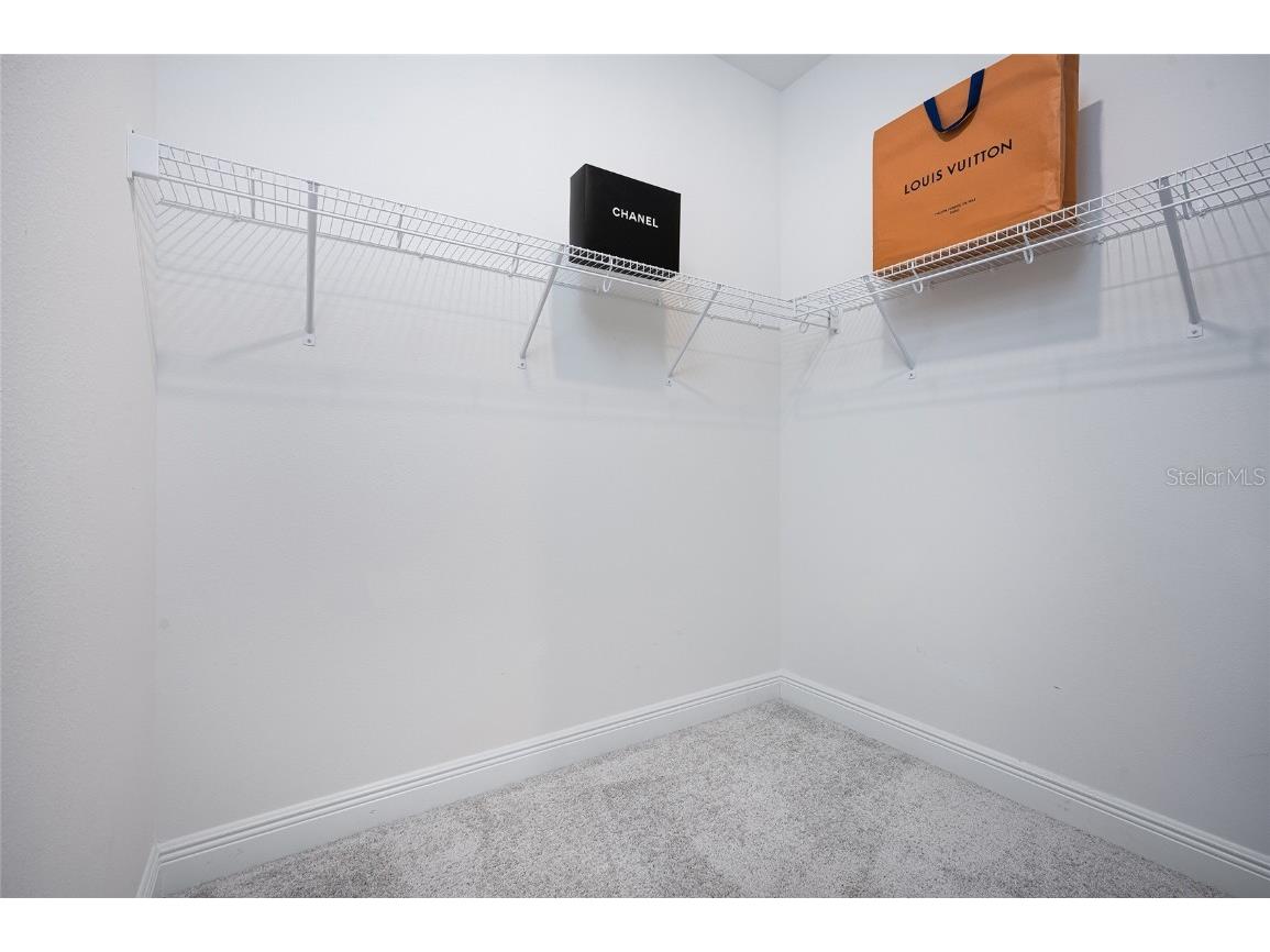 5556 Trevesta Place Palmetto FL 34221 A4672048 image39